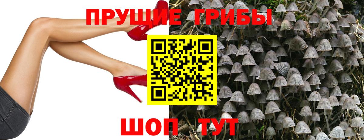 Галлюциногенные грибы GOLDEN TEACHER  Вход с VPN  Калуга 